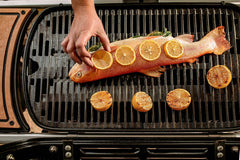 SmokeCraft: Traveler Portable Gas Grill, Black