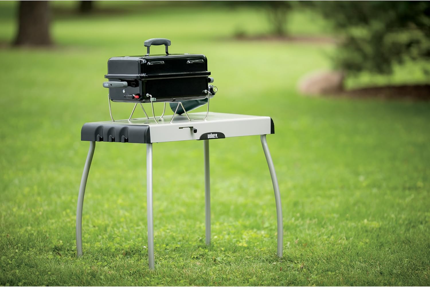 SmokeCraft: Go-Anywhere Gas Grill, One Size, Black